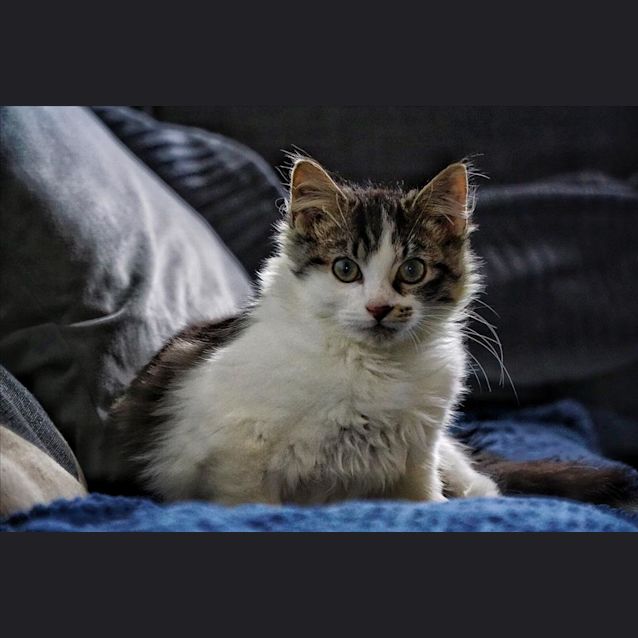Photo of Harry