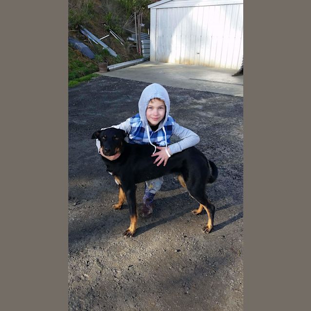 Photo of Tucker
