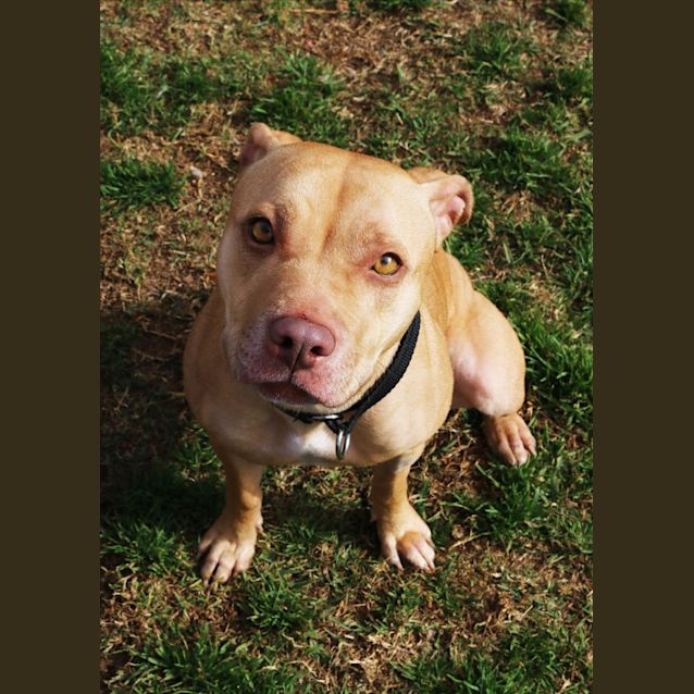 Photo of Rosie
