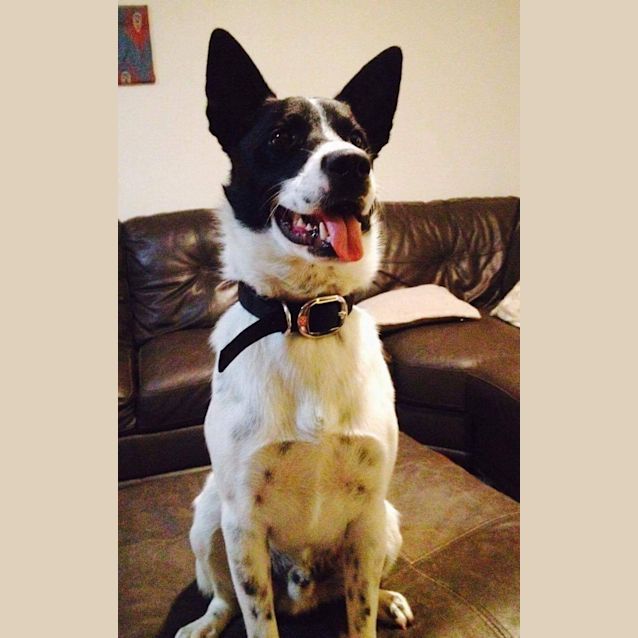 Photo of Max