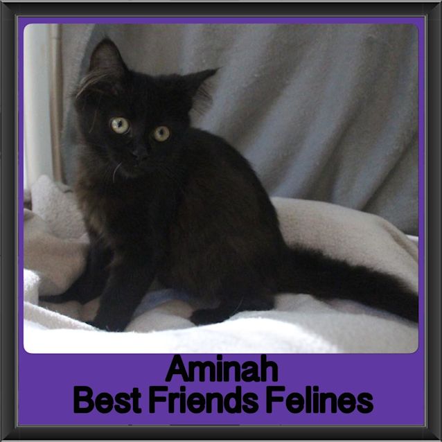 Photo of Aminah