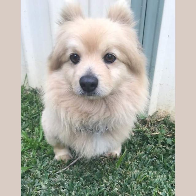 Photo of Sparky!! 