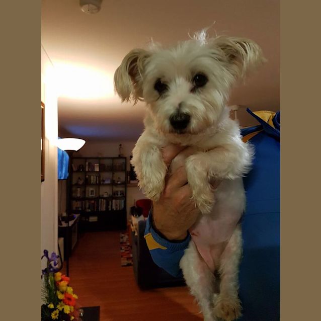 Photo of Tammy 