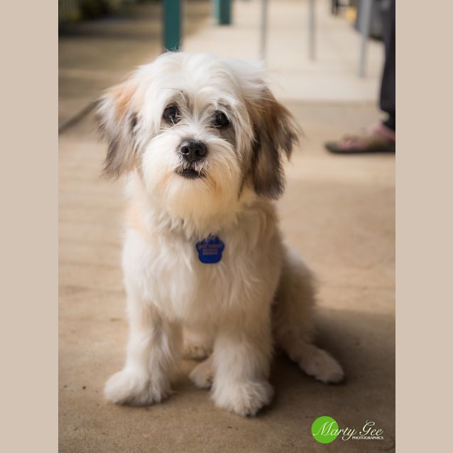 Photo of Monty