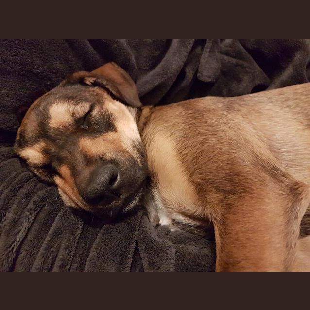 Photo of Layla   Ed0090 