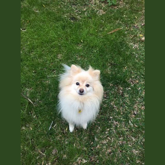 Photo of Charlie Dl1711