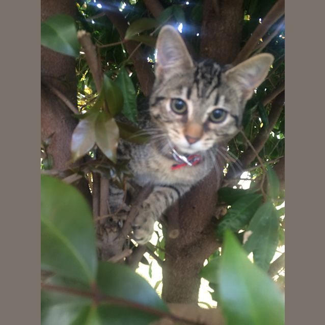 Photo of Zarley And Miss Marley