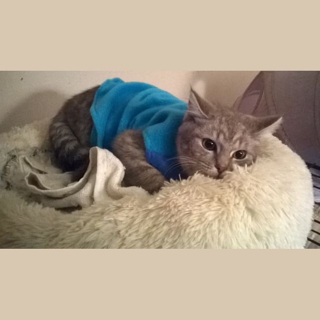 Photo of Arya 