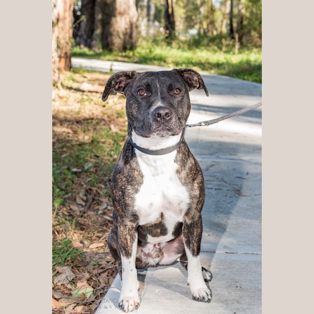 Photo of Gus