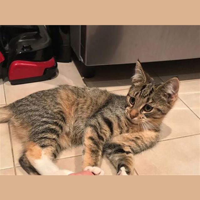 Photo of Dora