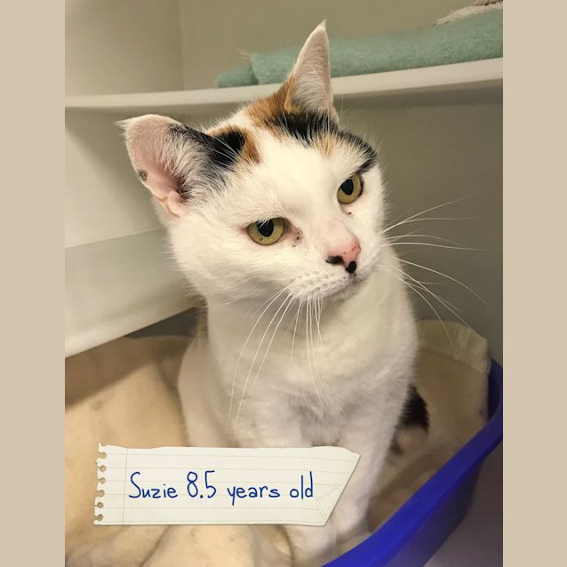 Photo of Suzie Sta0001283