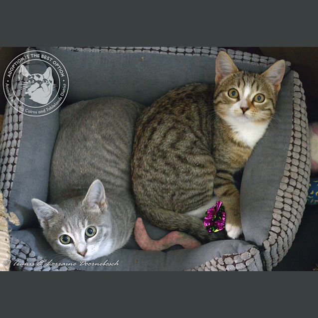 Photo of Ruby & Rose