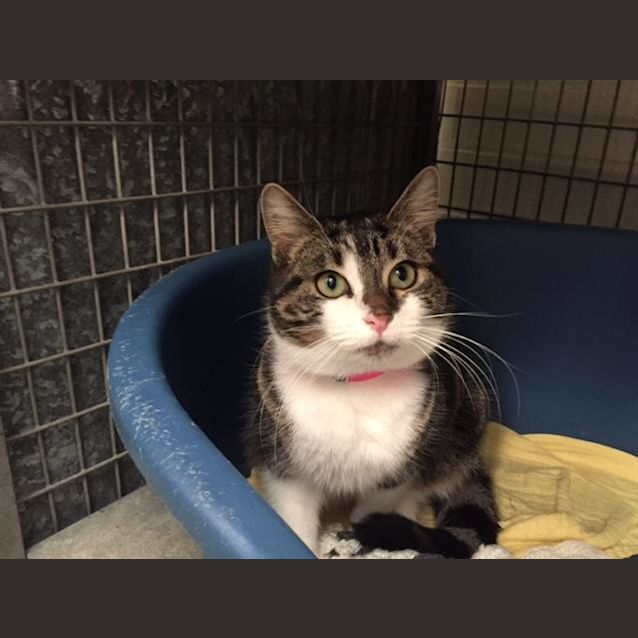 Photo of Toni (2675)