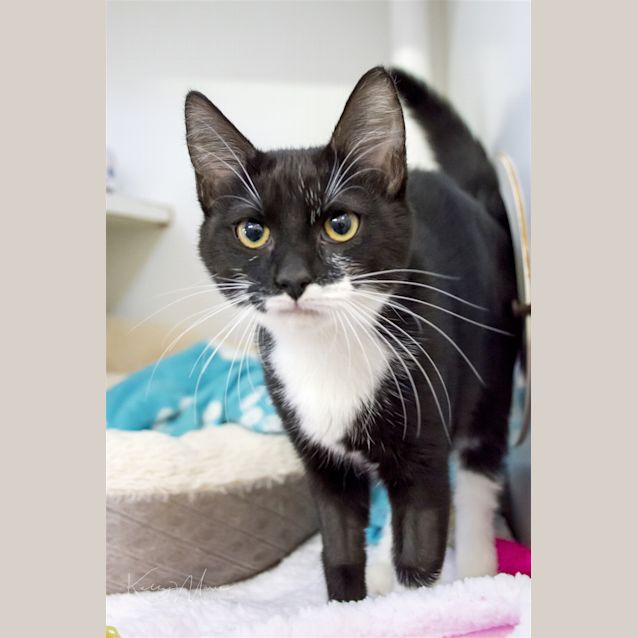 Photo of Tink