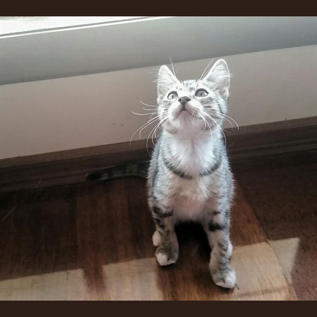 Photo of Belle