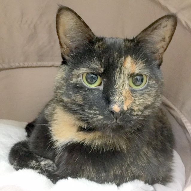 Photo of Ivy