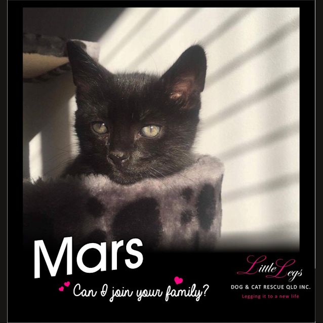 Photo of Mars