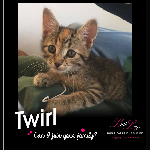 Photo of Twirl