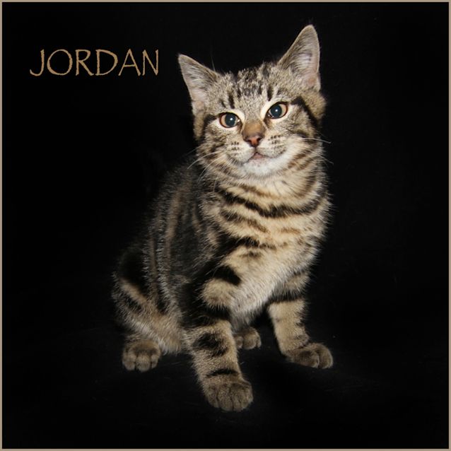 Photo of Jordan