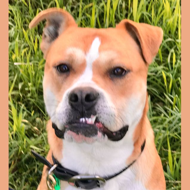Photo of Mack