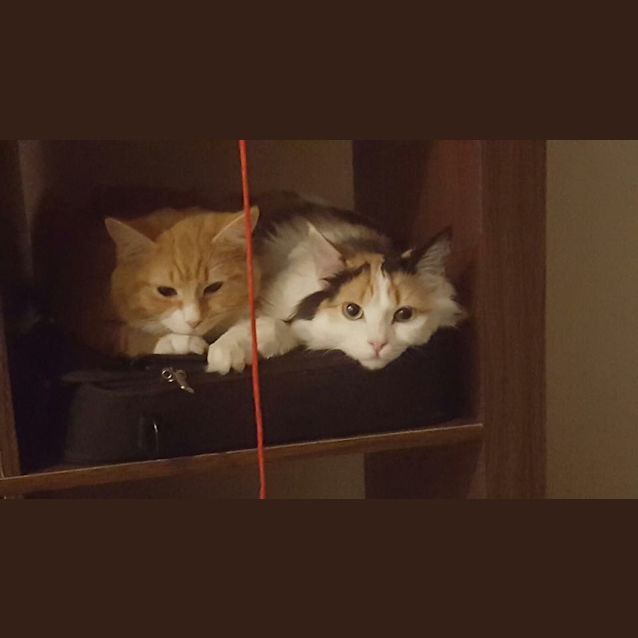 Photo of Cleo And Nina