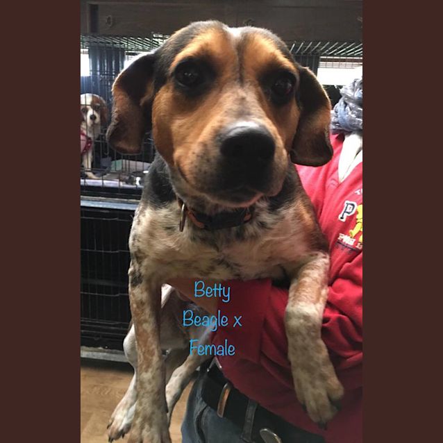 Photo of Betty