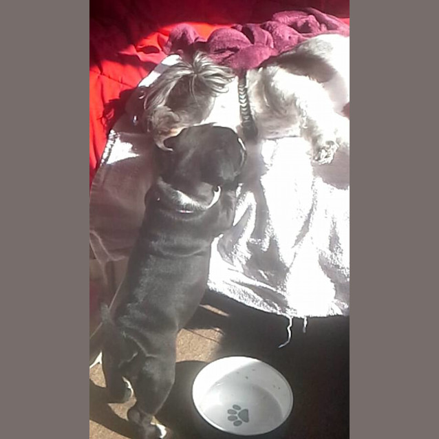 Photo of Kira   On Hold 