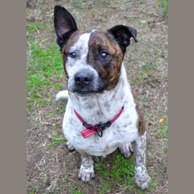 Photo of Neera Db214