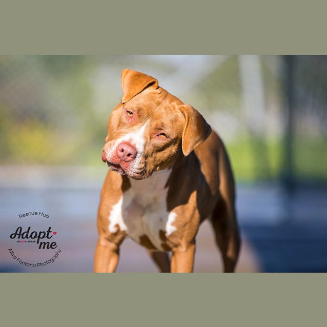 Photo of Karlee (Pcc 387)