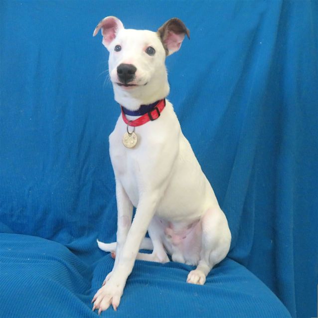 Photo of Spike