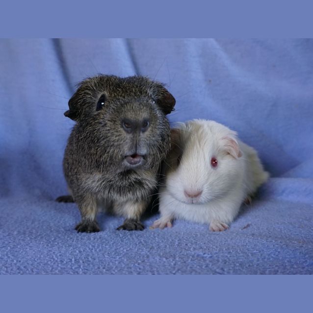 Photo of Mitch And Scott