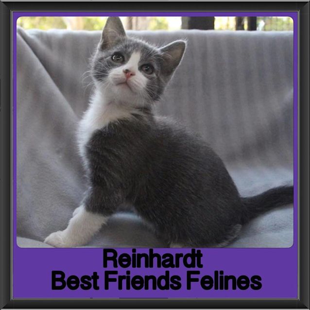 Photo of Reinhardt