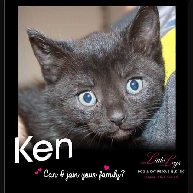 Photo of Ken