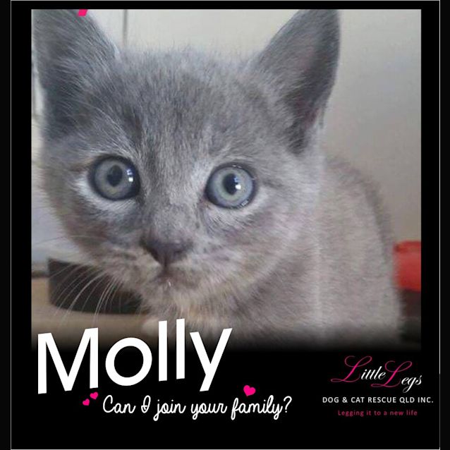Photo of Molly