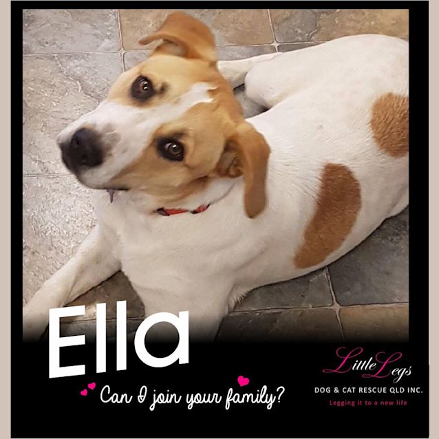 Photo of Ella