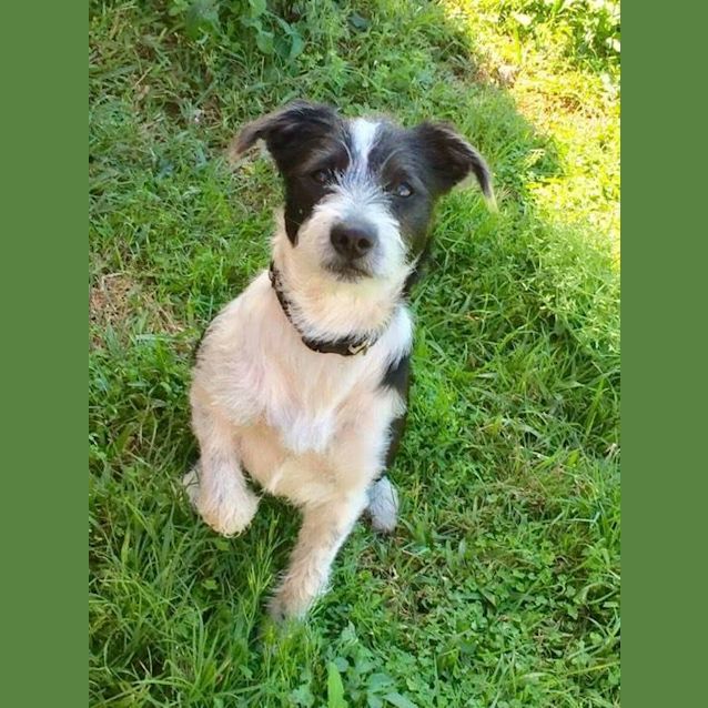 Photo of Coco