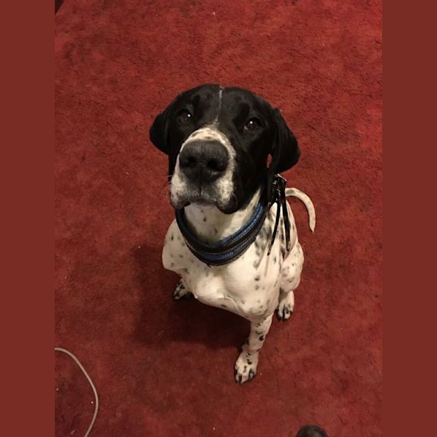 Photo of Roxy