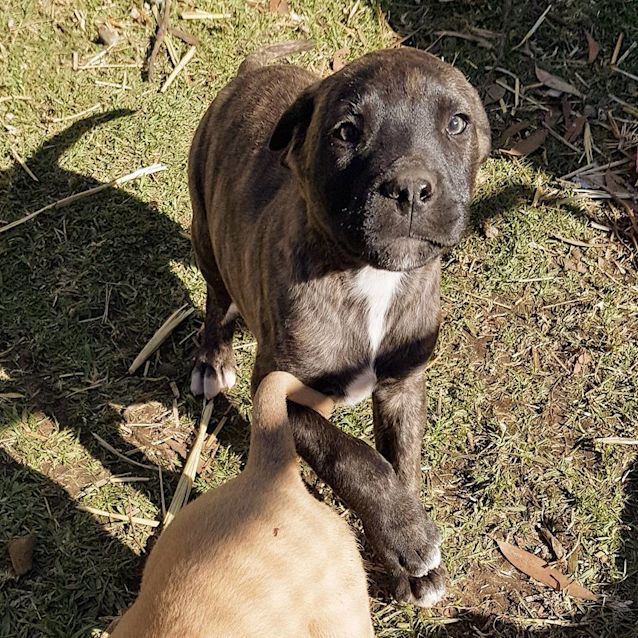 Photo of Spooky