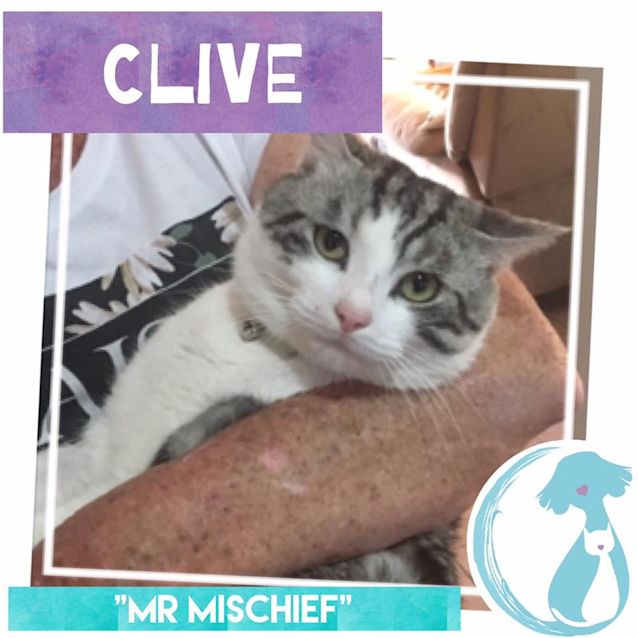 Photo of Clive 