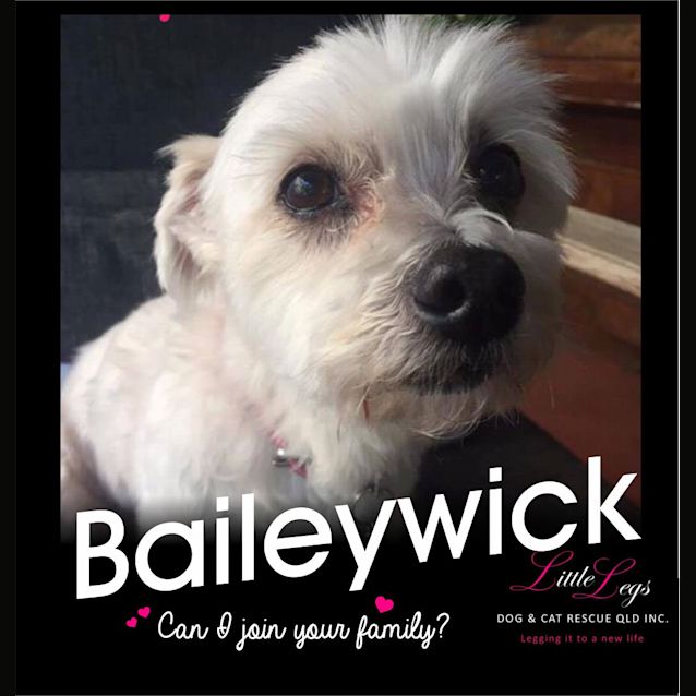 Photo of Baileywick