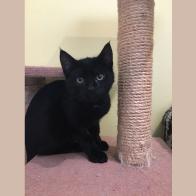 Photo of Ernie