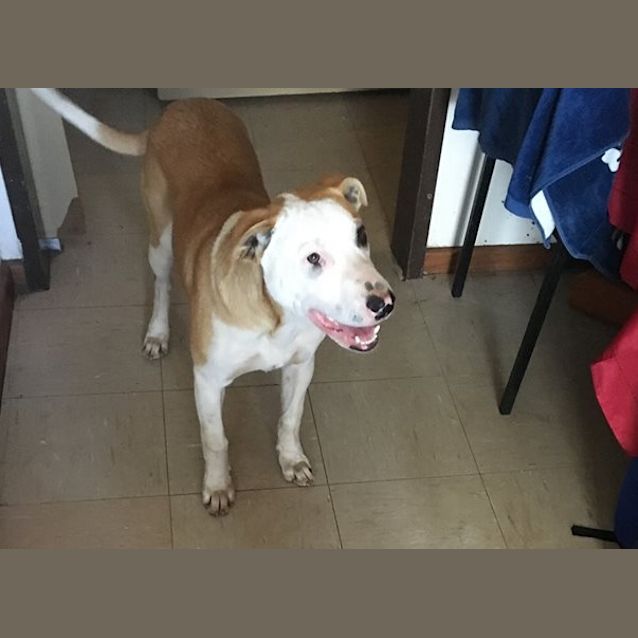 Photo of Gorgeous Gordy