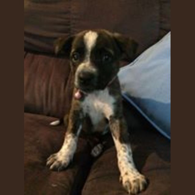 Photo of Narla
