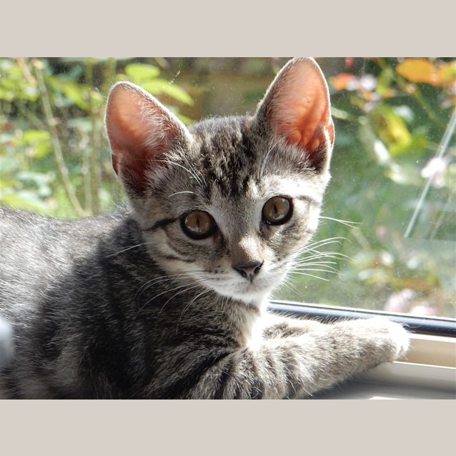 Photo of Meenie