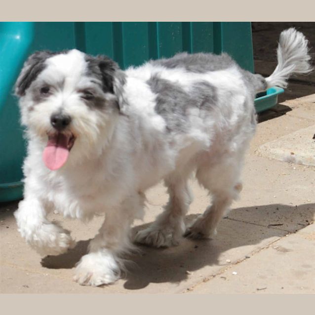 Photo of Belle (Was Huni)