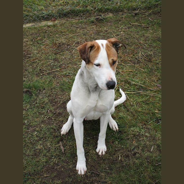 Photo of Maggie