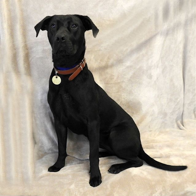 Photo of Bonnie