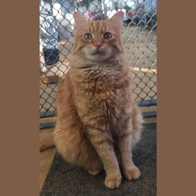 Photo of Max