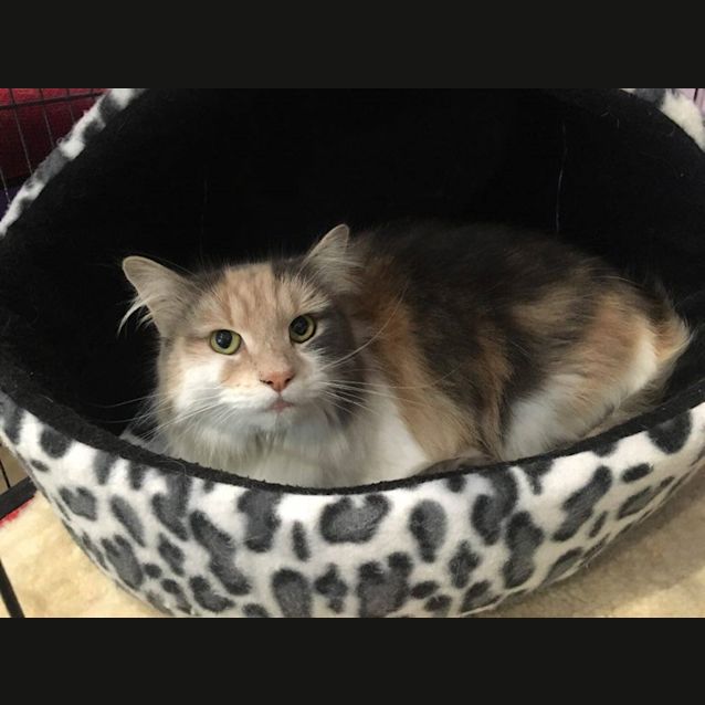 Photo of Serena