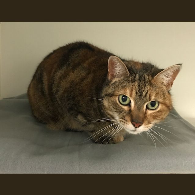 Photo of Molly Sua001329